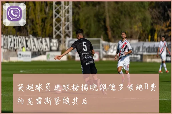 英超球员进球榜揭晓佩德罗领跑B费约克雷斯紧随其后