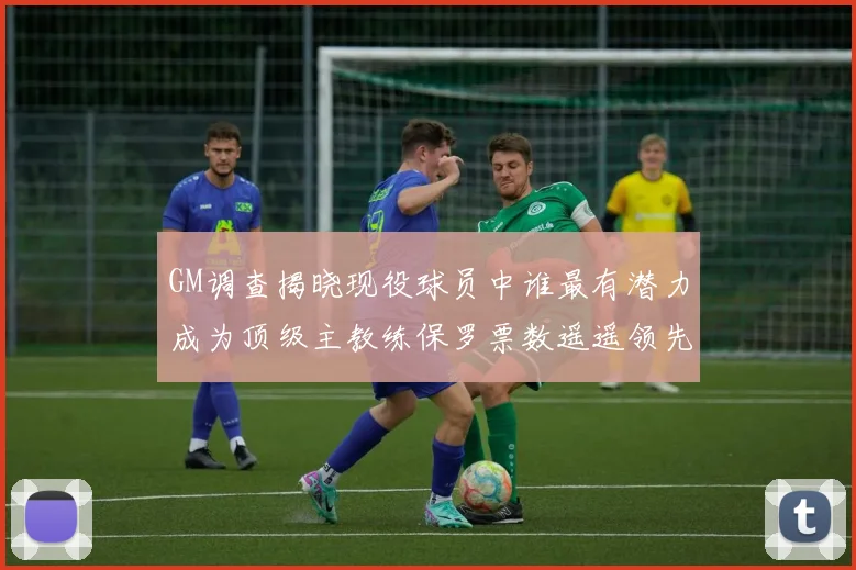 GM调查揭晓现役球员中谁最有潜力成为顶级主教练保罗票数遥遥领先
