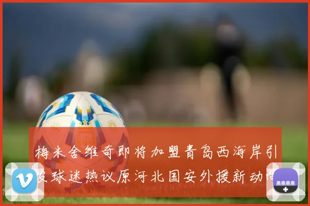 梅米舍维奇即将加盟青岛西海岸引发球迷热议原河北国安外援新动向